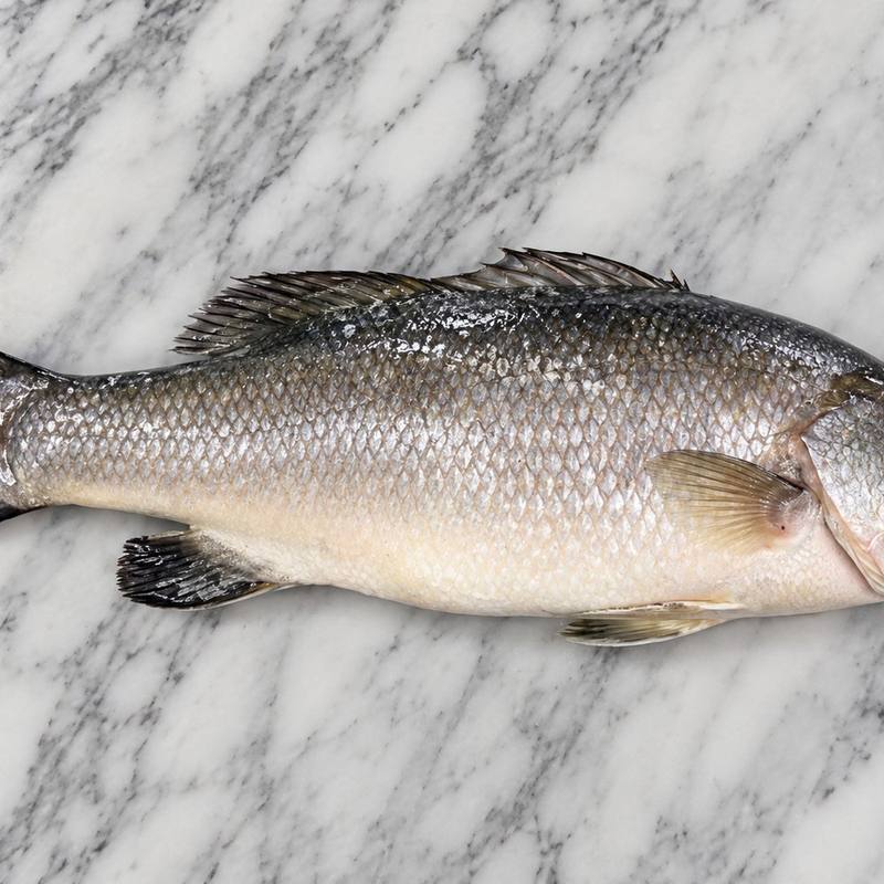 Seabass Whole